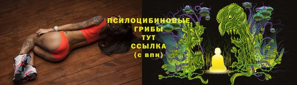 спиды Володарск