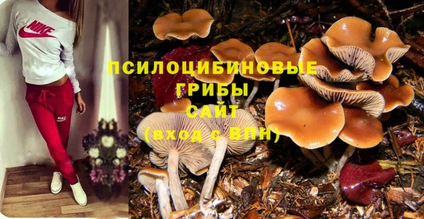 спиды Володарск